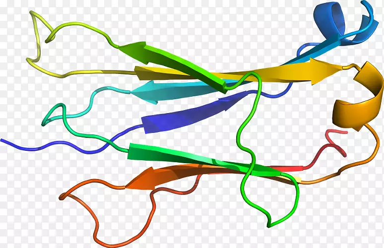 �ߵ������������-������