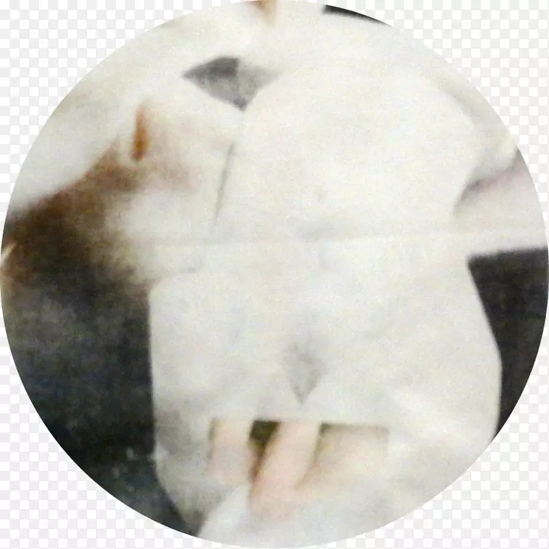 ˹Ŭ��-������ˡ���ά-������