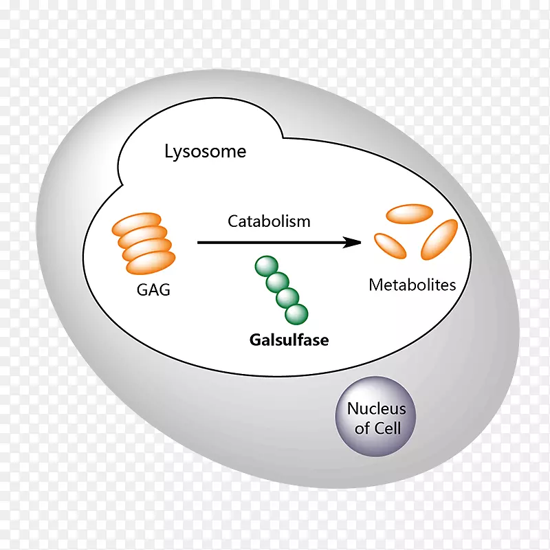 Ʒ�Ƶ������-������