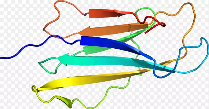 �ߵ������-��-������