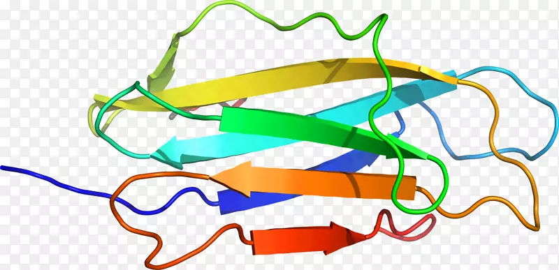 �ߵ������-��-������