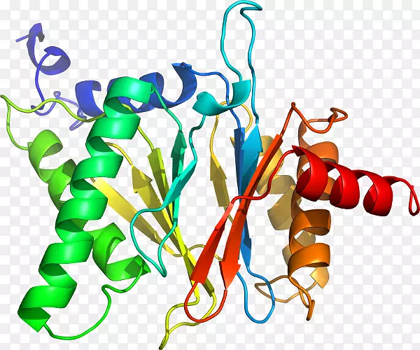 �����߶����������-������