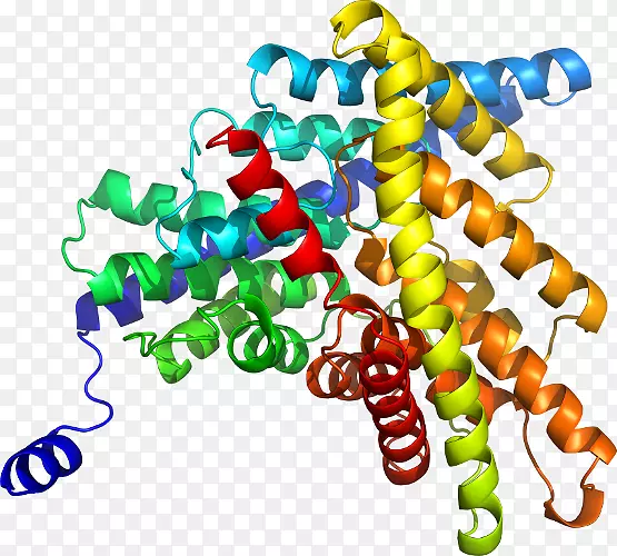 �����鱦ϵ�м�����.�鱦-������