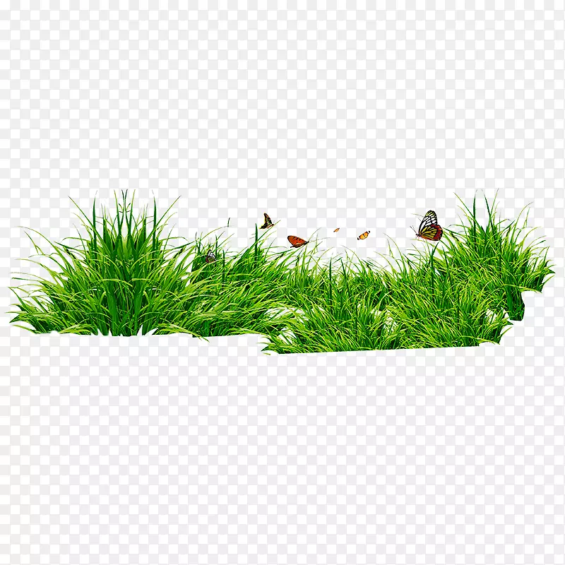 �ݼ�����������ľ��-������