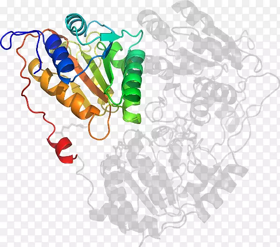 �ߵ������-��-������