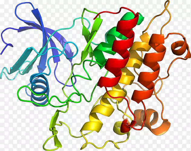 ֲ�ﾥ�߲��߼�����-�߲�-������