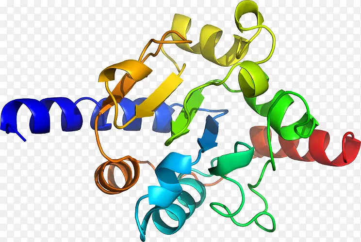 �����鱦������.���-������