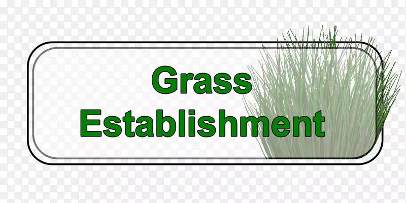 �̱��������-������