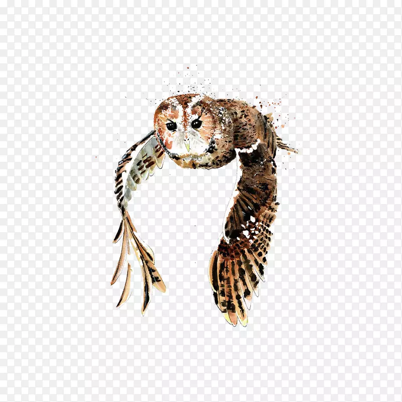 ˮ�ʻ�.�ֻ濨ͨèͷӥ���в���-������