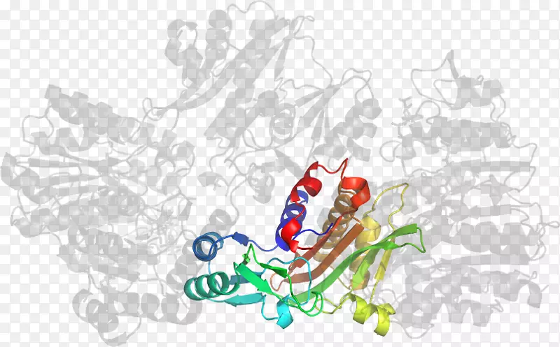 ��ľ������-��-������