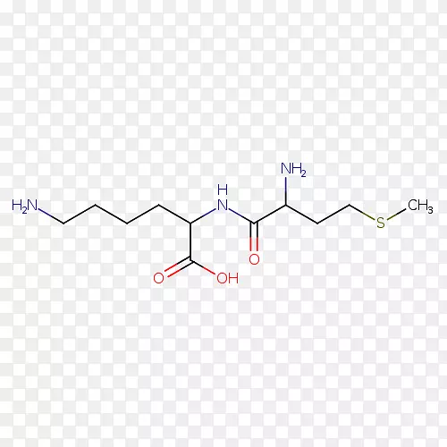 ֱ�ߵ����-������