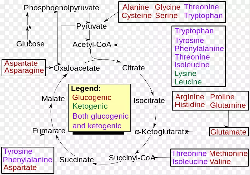 Gatz���������������޻�������ˮ-֧��������-������