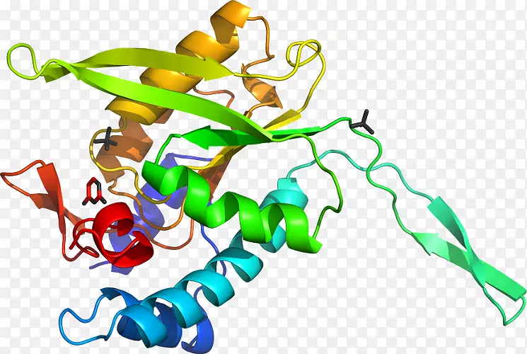 ���߼�����-��-������