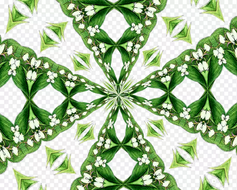 ����ֲ���Ҷ-������