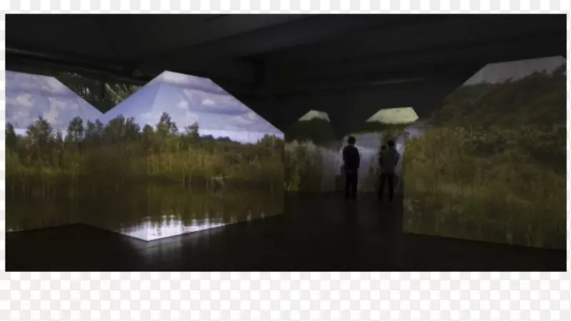 ˮ����Ӱ��̬ϵͳ-ˮ-������