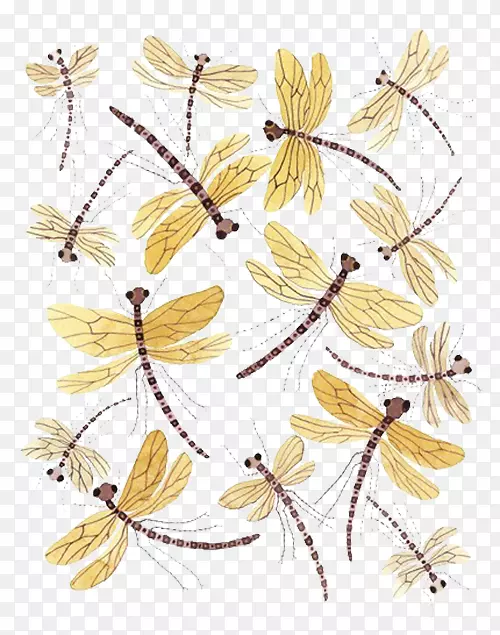 ���������������ͼ-������-������