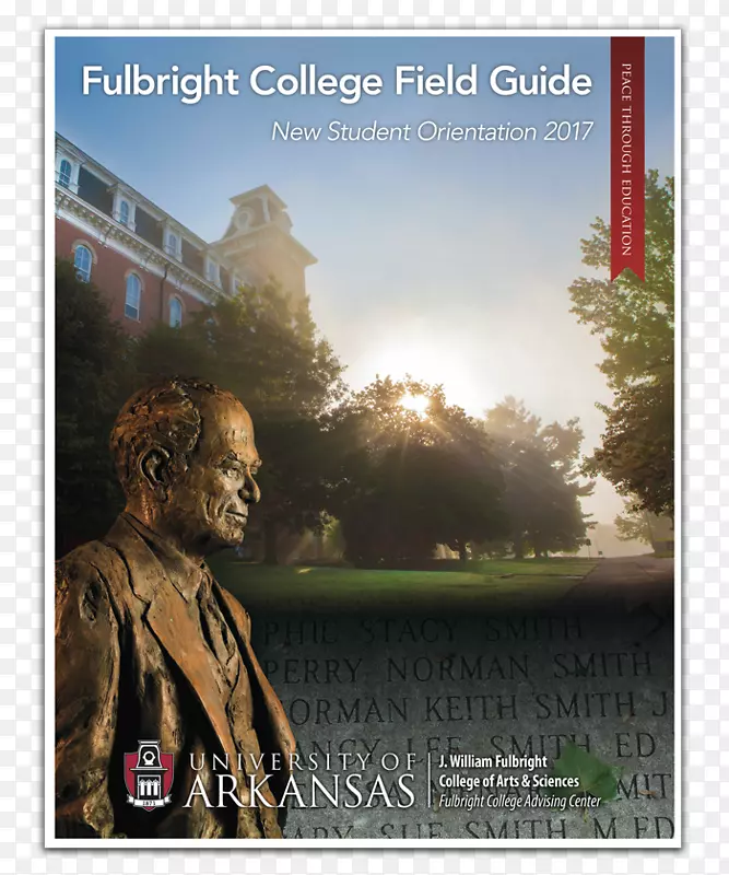 ��Ӱ������-��-������