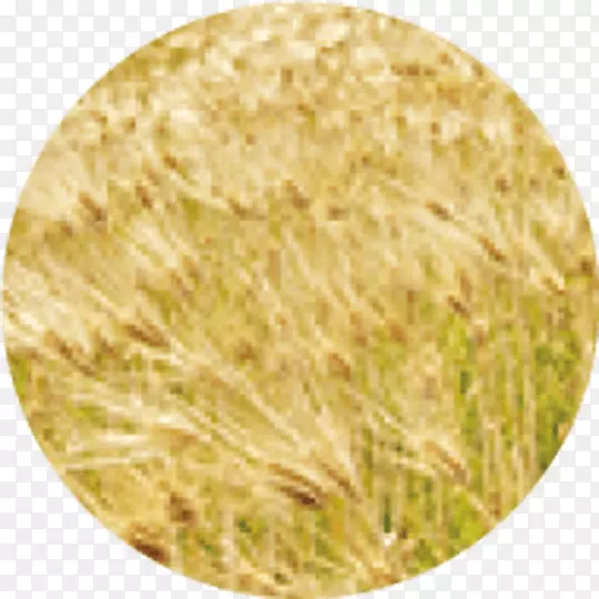 ��͹���ʳƷ-������Ʒ-������