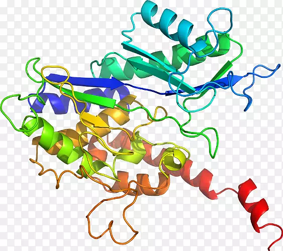 �����鱦�л�������������.�鱦-������