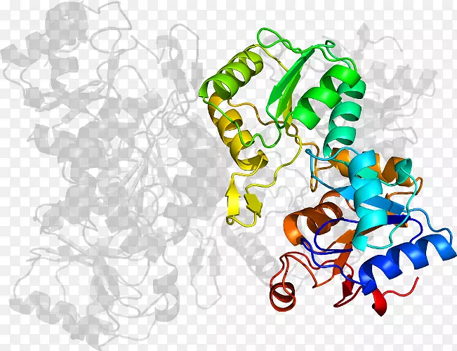 ���߼�����-��-������