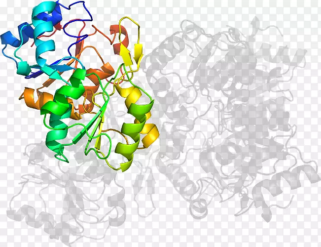 ʳƷ������-��-������