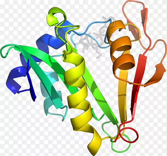 ƽ������߼��������-������