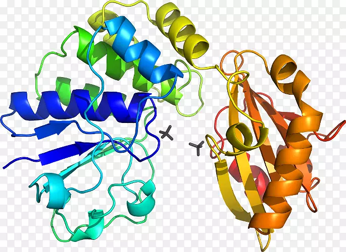 �����鱦�л�������������.�鱦-������