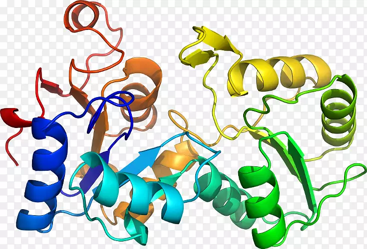 �޼�׵���ﶯ����������-������