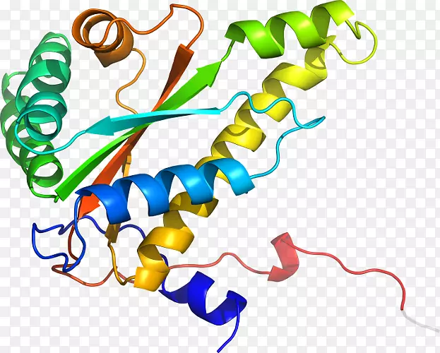 �ߵ������������-������