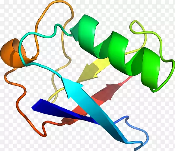 ƽ����Ƽ�����.���-������