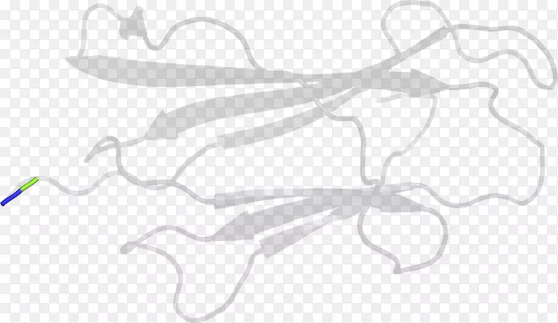 ����������ָ������-������