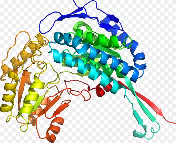 ���������鱦�л�����������鱦����-������