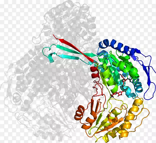 ���߼�����-��-������