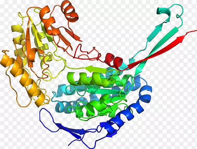 ���������鱦�л�����������鱦����-������