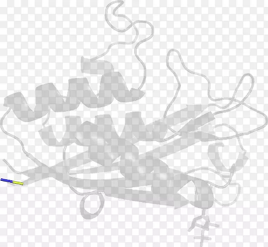 ��ɫ���������-������