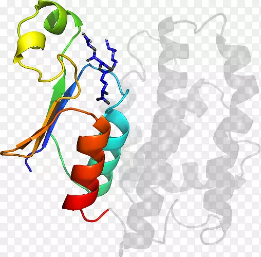 ƽ������л�����������-������