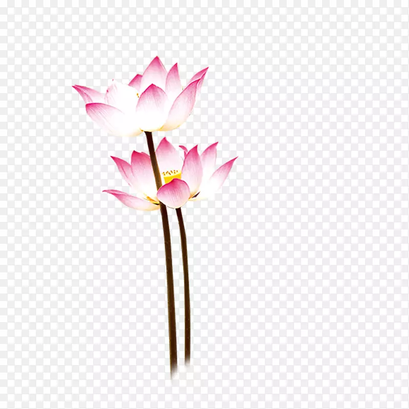 ͼ-����-������