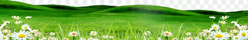 ���ؼ�������ѿ۴����̲�-������