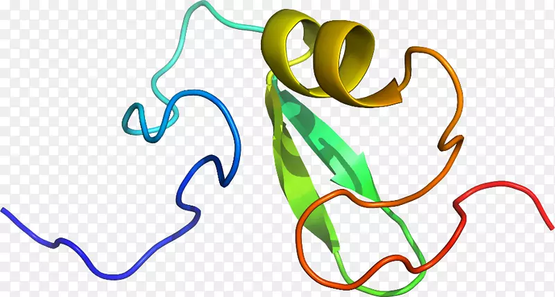 �ߵ������������-������