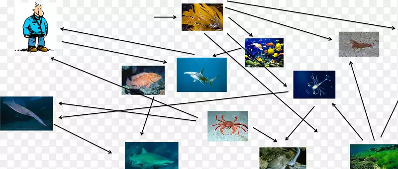 �ߵ㼼��.��-������