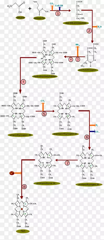 �ߵ����-������