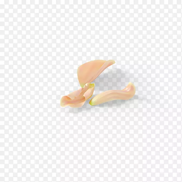 �����鱦��ָ����-������