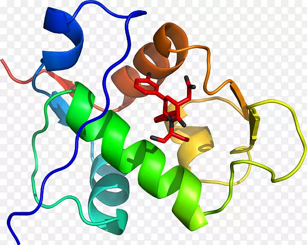 �ߵ������-��-������