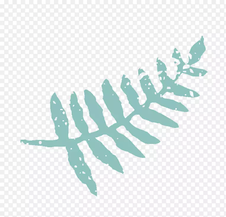 Ҷ����ʯ��ë����-������