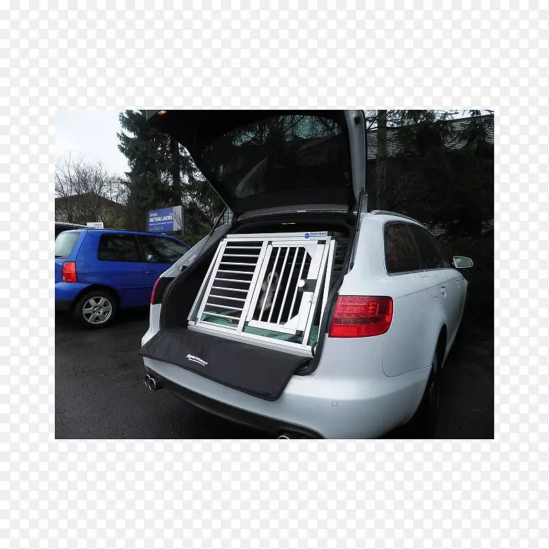 �������ոܳ������������-������