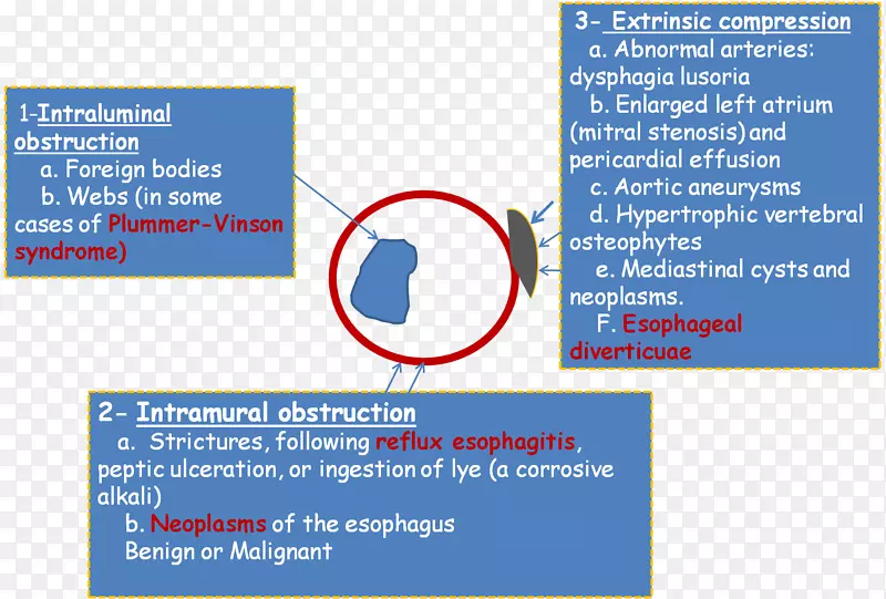 �ߵ��������-������