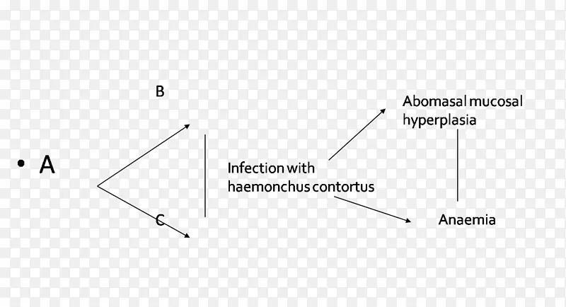 ���ǵ��ļ�-������-������