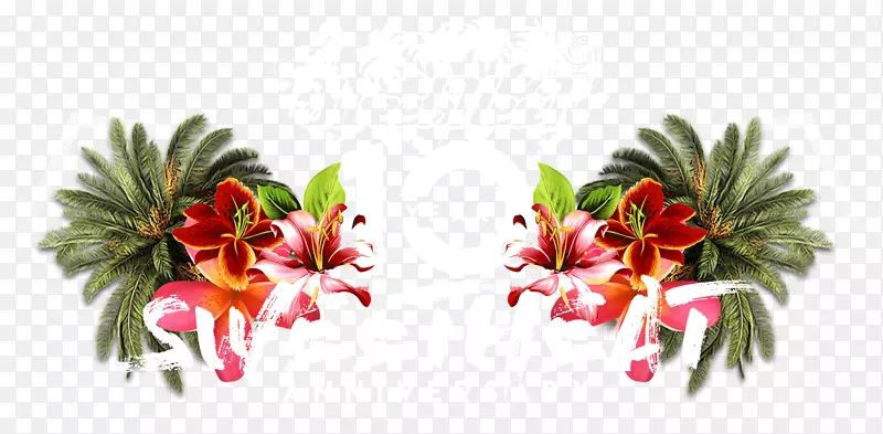 ��������л�����ֲ��.���-������