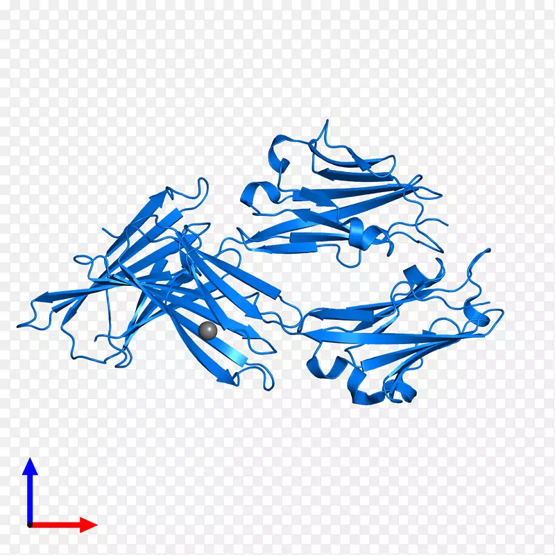 �߼�����-��-������