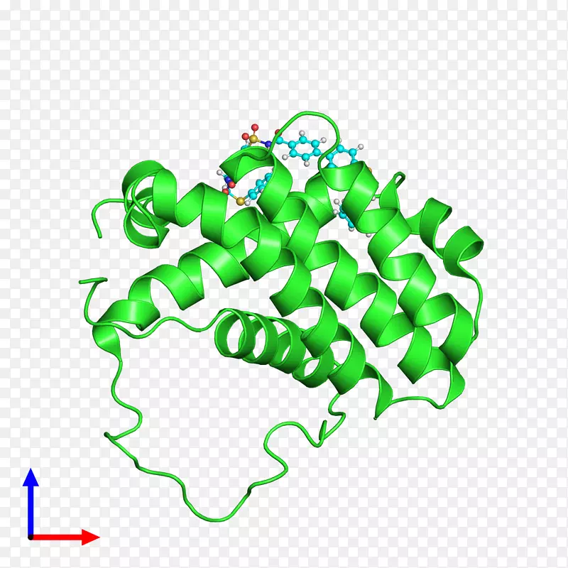 �ߵ�����������-������